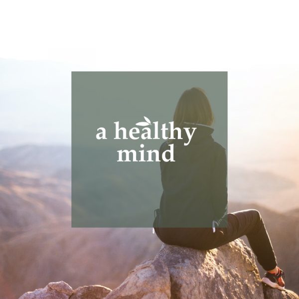 a healthy mind - Wellbeings and Co.